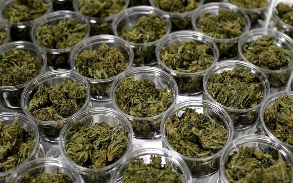 fleurs de CBD